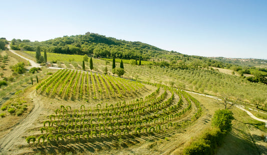 Aetos Agrodolce Riserva