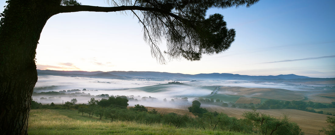 Aetos Grappa di Sangiovese